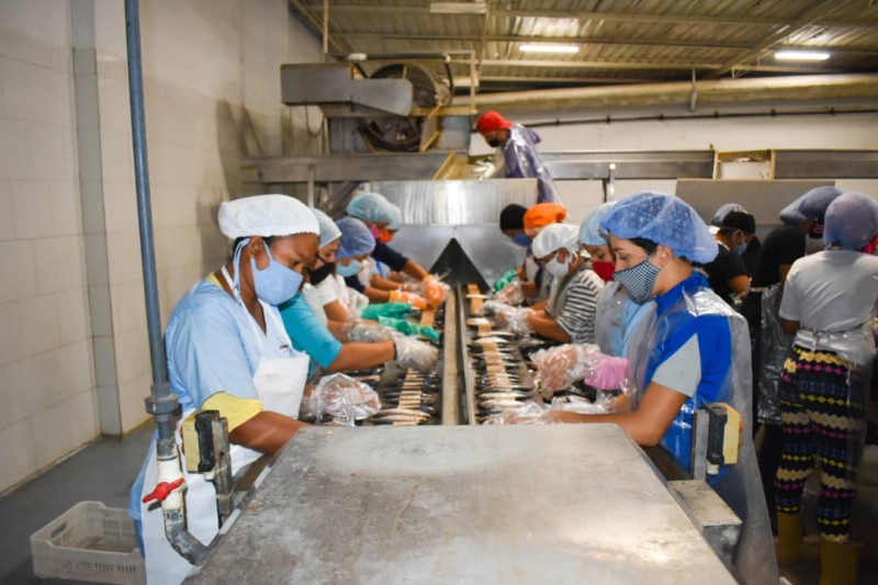 <b>REVOLUCIÓN BOLIVARIANA FORTALECE POLÍTICA AGRARIA PARA PROTECCIÓN DEL PUEBLO<b>