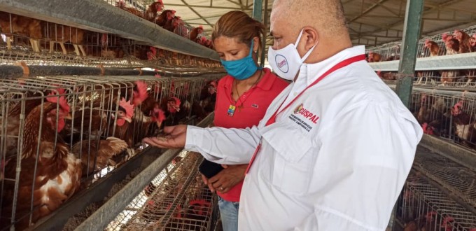 cuspal-02.02.2021.-2