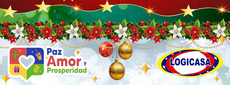 logicasanavideño